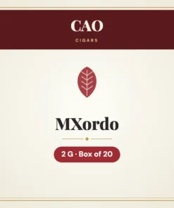 CAO MX2 Gordo Cigars – Box of 20