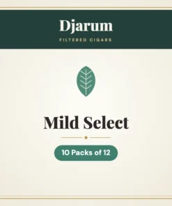 Djarum Mild Select Filtered Cigars – 10 Packs of 12