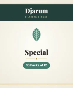 Djarum Special Filtered Cigars – 10 Packs of 12