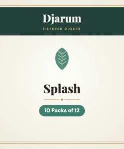 Djarum Splash Filtered Cigars – 10 Packs of 12