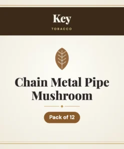 Key Chain Metal Pipe Mushroom – Pack of 12