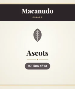 Macanudo Ascots Cigars – 10 Tins of 10