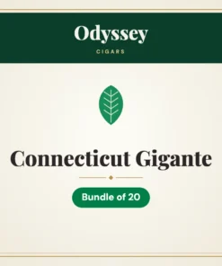 Odyssey Connecticut Gigante Cigars – Bundle of 20