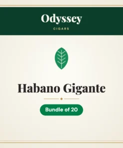 Odyssey Habano Gigante Cigars – Bundle of 20