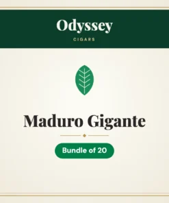 Odyssey Maduro Gigante Cigars – Bundle of 20