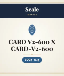 Scale CARD V2-600 600g X 0.1g CARD-V2-600