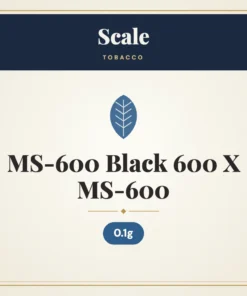 Scale MS-600 Black 600 X 0.1g MS-600