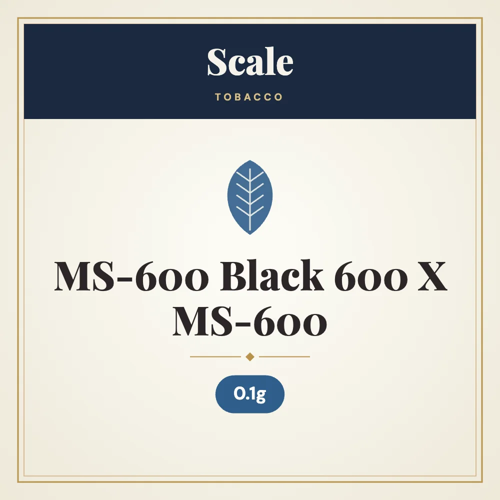 Scale MS-600 Black 600 X 0.1g MS-600 1 Scale MS-600 Black 600 X 0.1g MS-600