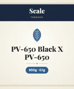 Scale PV-650 Black 650g X 0.1g PV-650