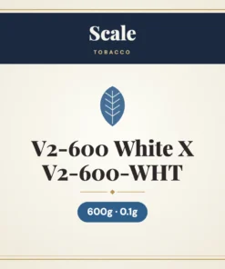 Scale V2-600 White 600g X 0.1g V2-600-WHT