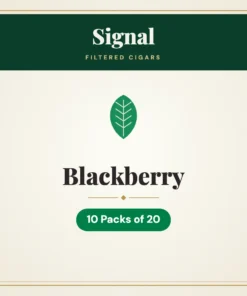 Signal Blackberry Filtered Cigars – 10 Packs of 20