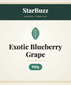 StarBuzz Exotic Blueberry Grape Hookah Tobacco 100g